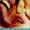 THE FLAMING LIPS - WASTIN PIGS IS STILL RADIO (DIGIPACK 