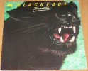 Blackfoot - Tomcattin LP 1980 / Mint     ( 14 ) 