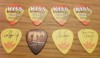 PROMO SIGNED KISS Guitar Picks Set Vitoria Eric Singer  