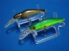 2 Evergreen SPIN-MOVE SHAD (t58 