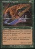  Blurred Mongoose x 4 * Invasion MTG magic 