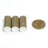 30 Neodymium Magnets Cylinder 10mm x 2mm 'N40' 