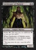 **4x Uncommon and 4x Common Set** MTG Zendikar ZEN MINT 