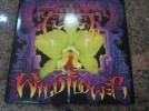 THE Cult - Wild Flower' 2X12'' MINT LIMITED USA  WANTED 