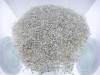 .25ct 1.5-1.6mm Round Diamond Lot 