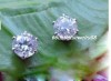 CHARMING STAINLESS STEEL EARRING STUDS,WHITE CRYSTAL 