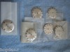 Lot of 6 Brand New Old stock Lanco and Technos Dials  