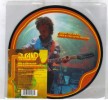 THE FLAMING LIPS, THE W.A.N.D ,7 INCH PICTURE DISC 