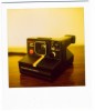 Polaroid 1000 Land Deluxe Instant Camera & case SX-70 