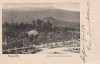 Teneriffe, English Grand Hotel, Gardens, 1900 