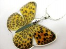 new design yellow Butterfly amber pendant magic jewelry 