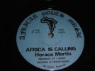 Africa Is Calling ~ Horace Martin 1981 (AY001) 