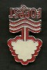 NOTTS FOREST, ENGLAND, FOOTBALL PIN BADGE 