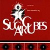 1 CENT CD Stick Around for Joy - The Sugarcubes  