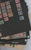 New Zealand Collection & Stock Sheet 