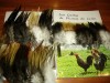  CHOLLO LOTE -18 MAZOS DE PLUMAS DE GALLOS DE LEON LEER 