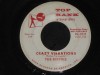 The Bikinis Crazy Vibrations RARE Surf Instrumental 45  