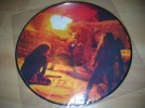 Immortal Diabolical Fullmoon Mysticism Picture LP Metal