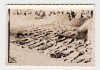 US WW2 Photo. Concentration camp. Civilians dig graves. 