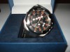 Festina tour de france f16350