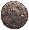 ESPAÑA, Lleida, Carlos I (1516-1558) Pugesa - BONITA 