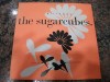 THE Sugarcubes – Birthday ' 7'' MINT  DRO SPAIN 