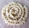 4-12mm White Coral Freeform Beads 16'' 