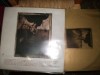 Pixies – Surfer Rosa 'LP