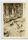 WWII Photo - Rare Buchenwald Concentration Camp Inside 