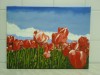 GEMÄLDE - ROTE TULPEN - PEINTURE  MOTIVÉ TULIPES ROUGES 