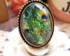 Cute Peacock Feather Oval Korean Retro Ring Size 7 Z373 