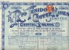 1900 THE RIO TENIDO COPPER MINES ( One Share ) 