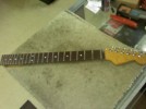 Warmoth Gibson Scale Birds Eye Maple Neck for Strat! 