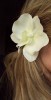 Cream White Orchid Flower Hair Clip Corsage 