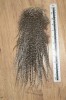 Whiting  Metz saddle grizzle fly tying hair extensions 