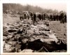 1945 Original Photo Mass Burial Nordhausen Nazi Concentration Camp  