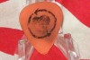 RISE AGAINST    GUITAR  PICK 