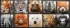 GB 2011 World Wildlife Fund Animals Set of 10 Fine Used 