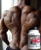 PRO FORCE T40X MASS FACTOR CREATINE Amino Acids Build Muscle Male Enhancement 