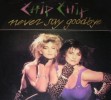 Italo-Disco / Chip Chip – Never Say Goodbye maxi12