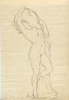 Dibujo a tinta sepia. Título: Desnudo femenino a línea, modernista (Circa 1900). 