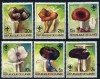 Mushrooms Scouting Boy Scouts MNH Guinea 