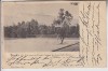 2469. AK Kanaren Tenerife Tennis Court Grand Hotel Taoro 1899 | eBay</title><meta name=