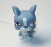 Littlest Pet Shop LPS Girl Toy Animal Figures Child #Dr.3688 | eBay</title><meta name=