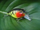 Pez Artificial Tipo Rapala / Señuelo / Bass / Lucio / Trucha | eBay</title><meta name=