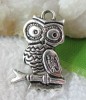 70pcs Tibetan Silver Owl Charms FC8867 | eBay</title><meta name=