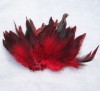 NEW Natural 50pcs Saddle Badger Rooster feathers Red colors 5-6 inches long | eBay</title><meta name=