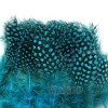 100 pcs Blue Guinea Fowl Spotted Feathers about 3-6Inches LM08 | eBay</title><meta name=