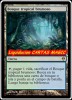 MTG 1x BOSQUE TROPICAL BRUMOSO-Zendikar- ESPAÑOL mint  (ENVIO GRATIS ORDINARIO)