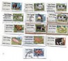  GB 2012 Post & Go Labels: Pigs & Sheep complete sets plus Diamond Jubillee!! 